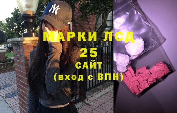 индика Корсаков