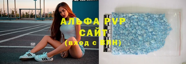 индика Корсаков