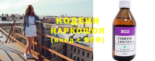 индика Корсаков