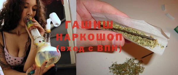 индика Корсаков