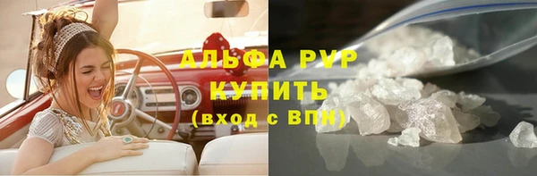 индика Корсаков