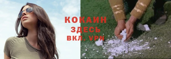 прущие крисы Костерёво