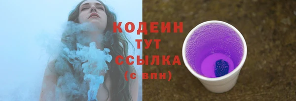 индика Корсаков