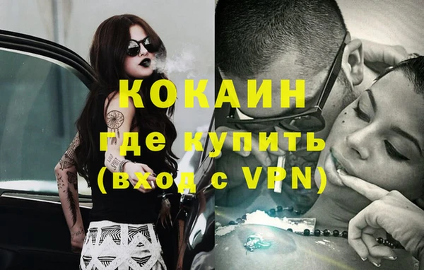индика Корсаков
