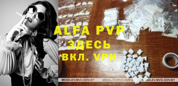 индика Корсаков