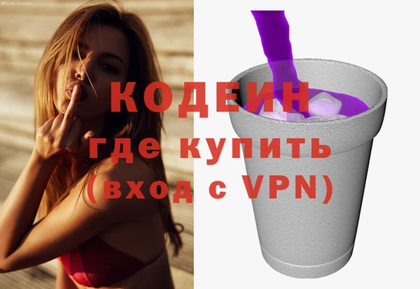 индика Корсаков