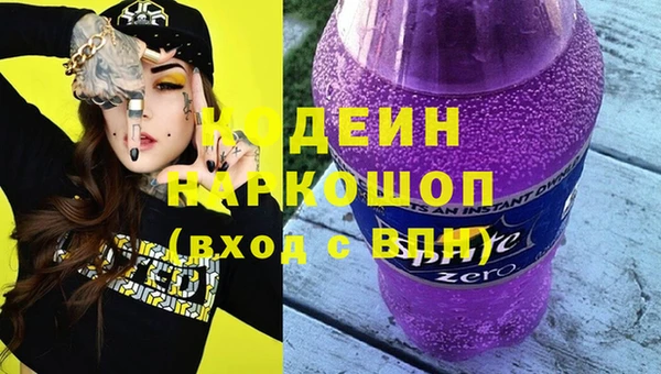 индика Корсаков