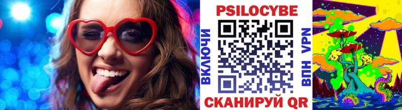Купить где  Гороховец  Галлюциногенные грибы GOLDEN TEACHER 